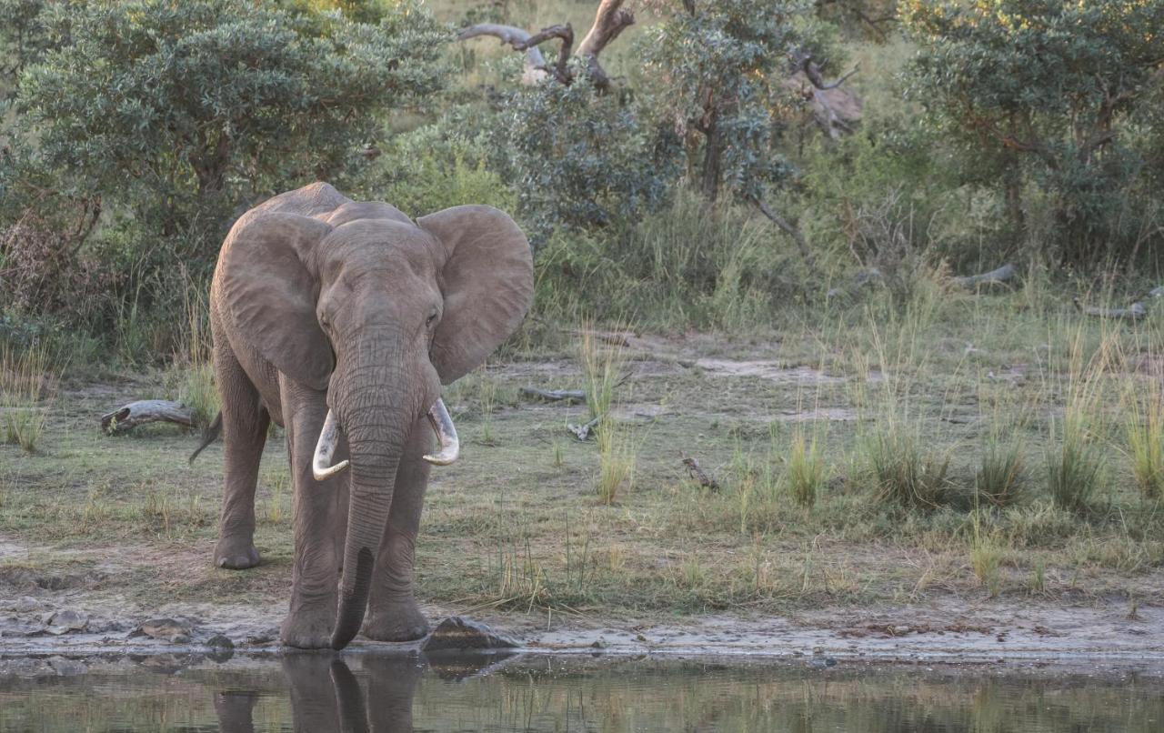 Tamboti River Lodge Hectorspruit Dış mekan fotoğraf